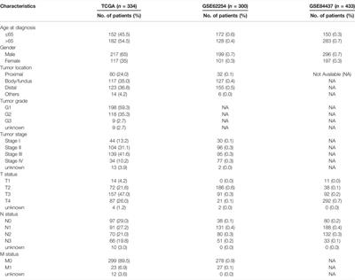 A Novel Ferroptosis-Related LncRNA Pair Prognostic Signature Predicts Immune Landscapes and Treatment Responses for Gastric Cancer Patients